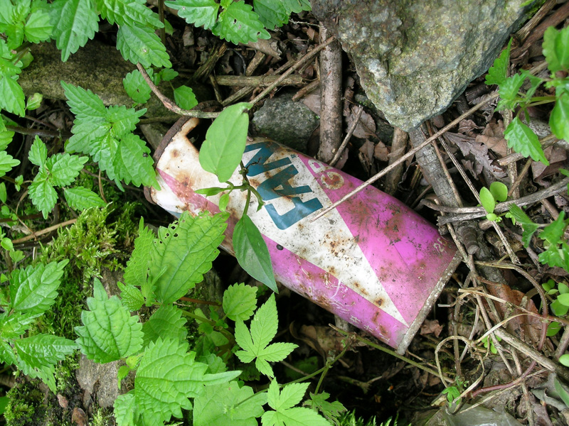 ファンタグレープ