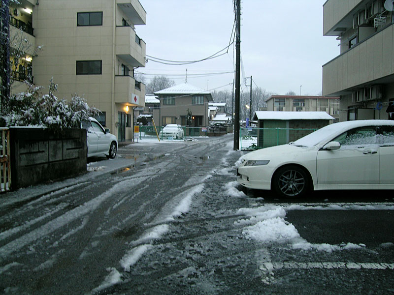 宇都宮も雪