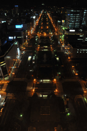 札幌テレビ塔から