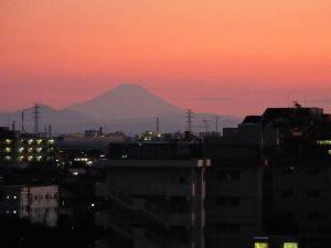 武蔵浦和駅から望む富士山