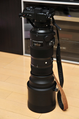 Nikon 1 V1 + SIGMA 150-600mm F5-6.3 DG OS HSM Sports　（FT1使用）
