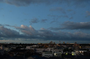 D850RAW M