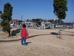 息子と公園