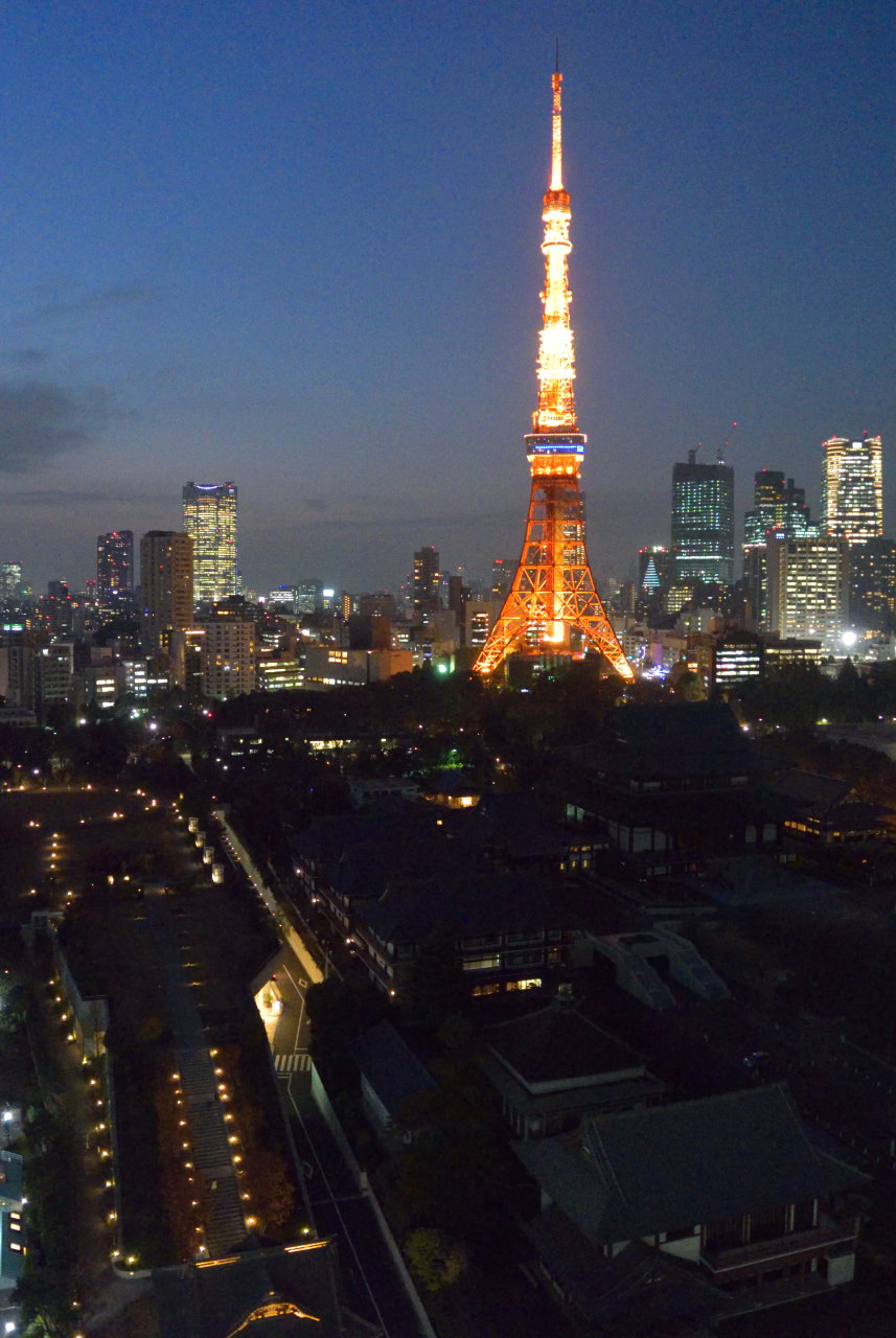 ビルから望む東京タワーと増上寺